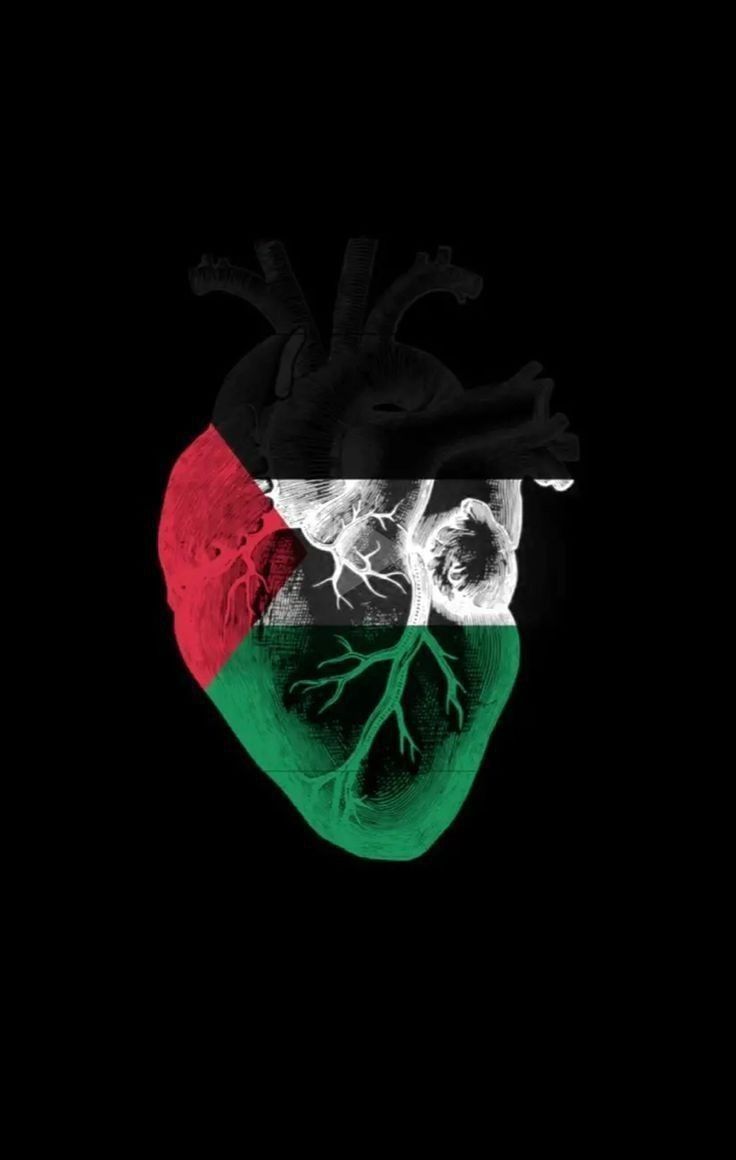 عبدالرحمن علي