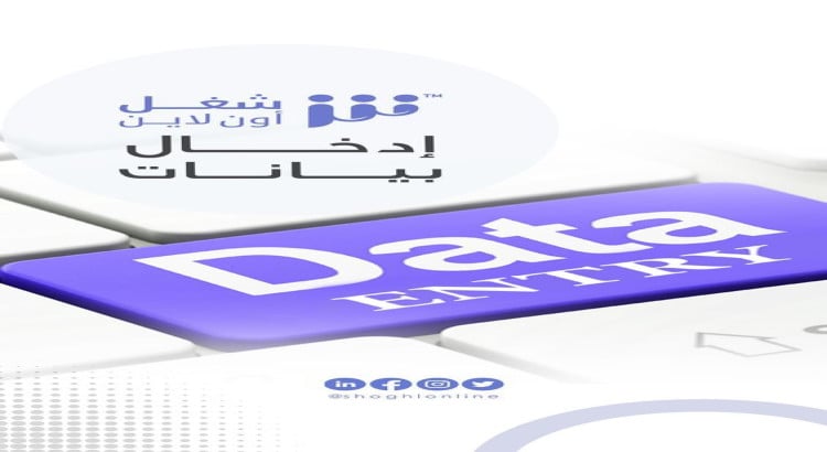 إدخال وتنظيم البيانات على Excel وGoogle Sheets بدقة واحترافية.